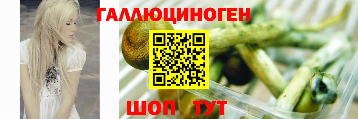 Галлюциногенные грибы Psilocybine cubensis  Псилоцибиновые грибы GOLDEN TEACHER  Нефтекумск  Вход с VPN 
